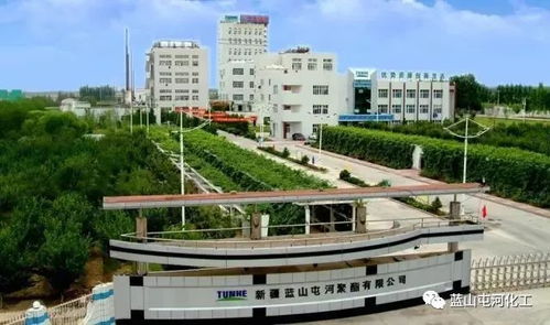 聚酯公司榮膺自治區(qū)綠色工廠稱號 以技術(shù)引領(lǐng)，鑄就綠色可持續(xù)發(fā)展新標桿